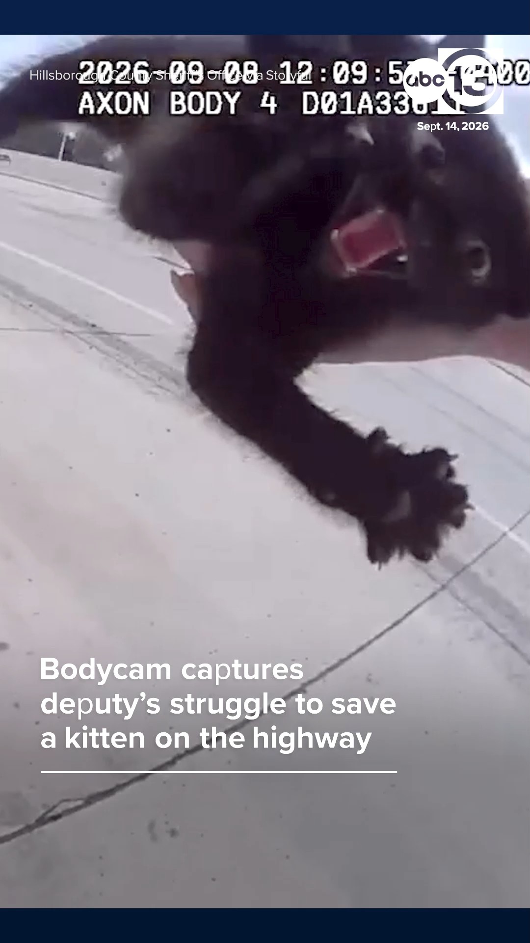 Deputy rescues kitten stranded and in distress on the side of I-275.