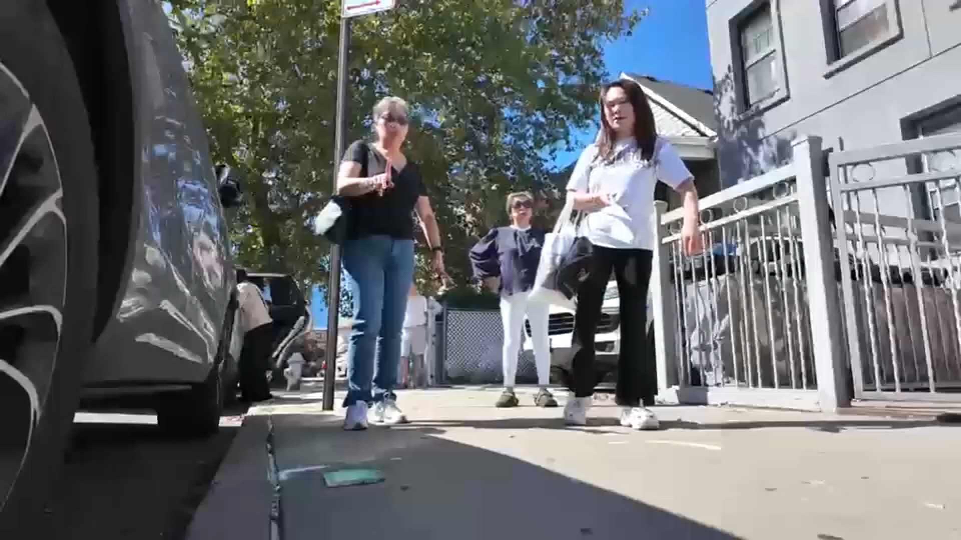 Chinese community upset at city's effort to plant trees in Brooklyn neighborhood