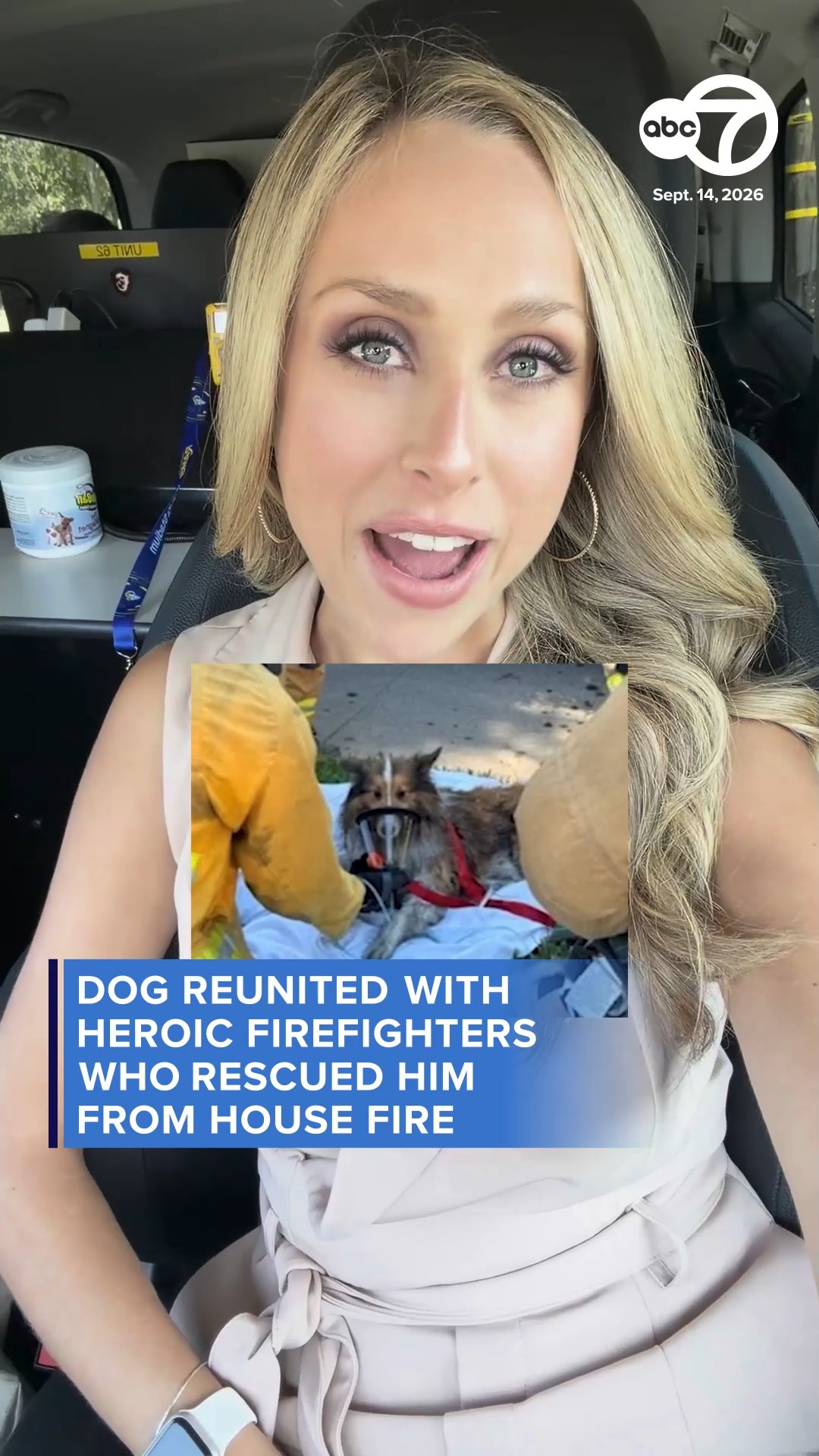 Dog reunited with firefighters who saved his life in Pasadena fire