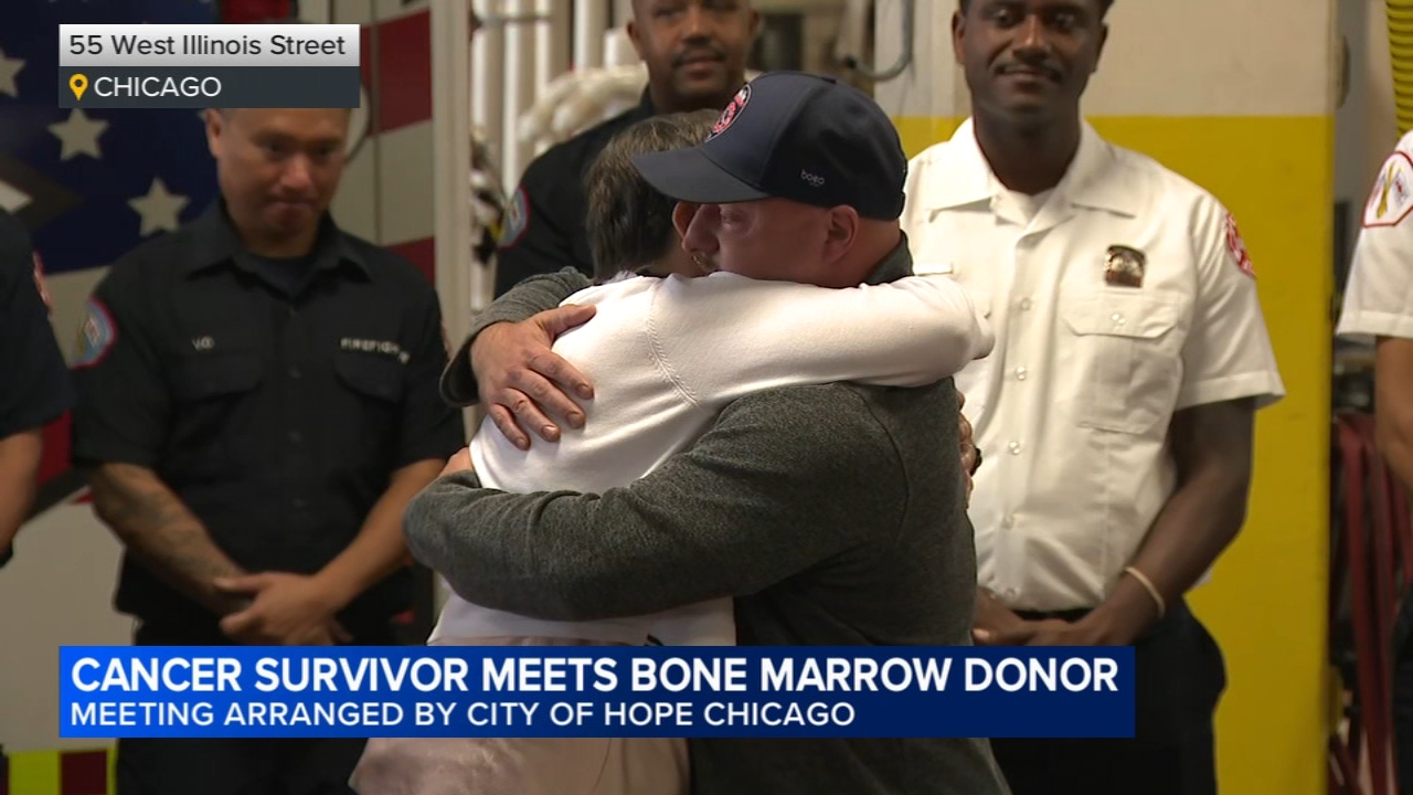 Cancer survivor meets with bone marrow donor in Chicago