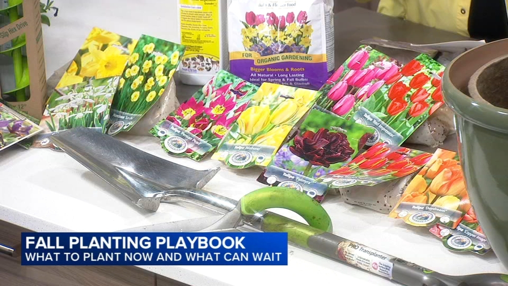 Fall planting playbook