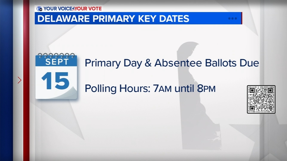 Delaware voters head to the polls for Primary Day ahead of midterm elections