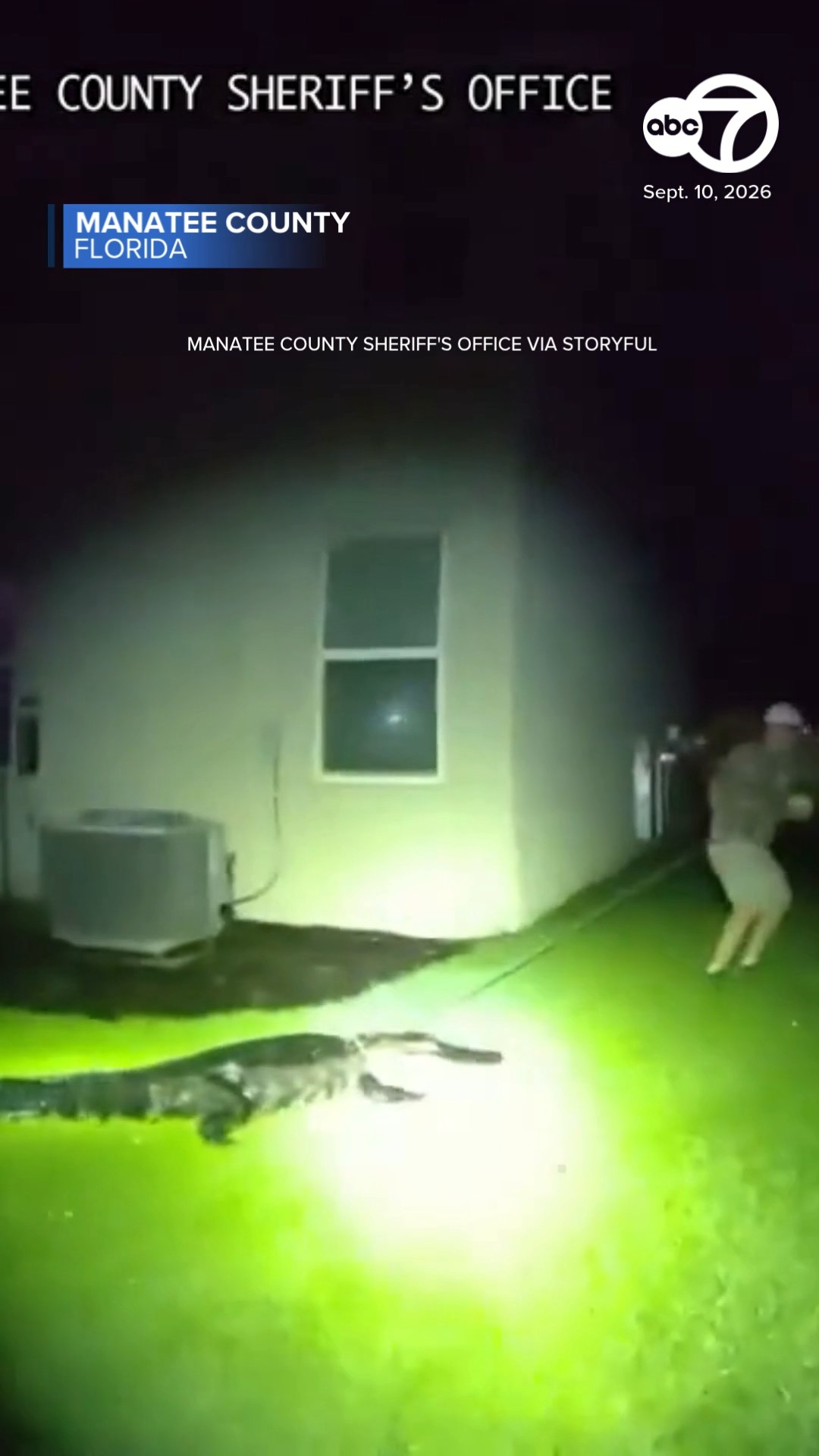 'Annoyed' 8-foot gator snaps at Florida deputies