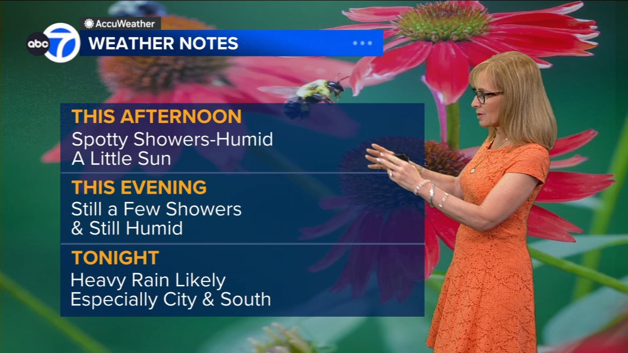 ABC7 AccuWeather Forecast