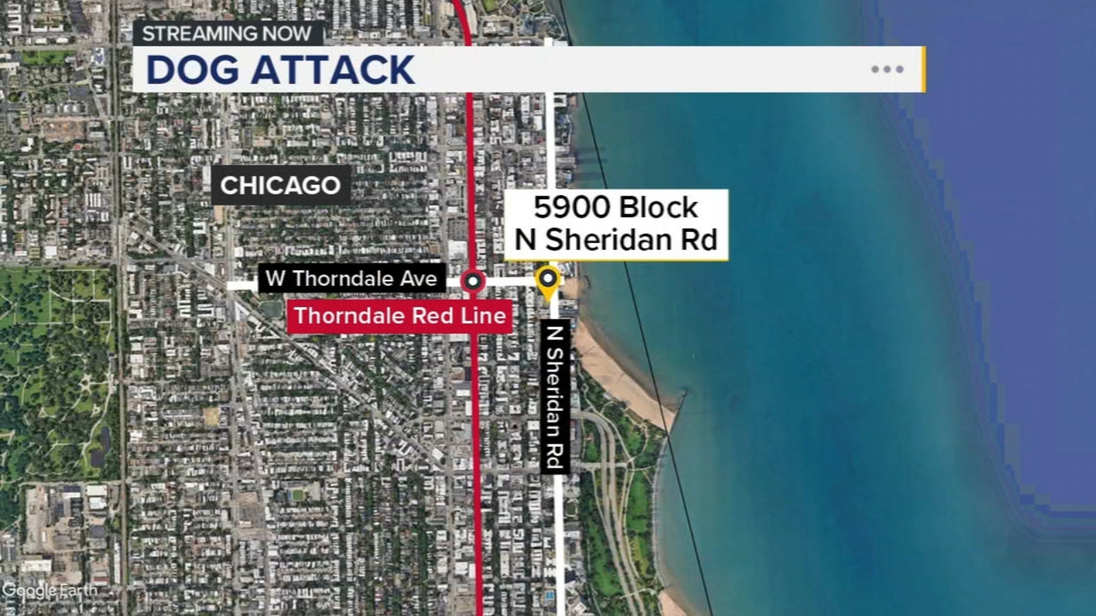 Assault News Image