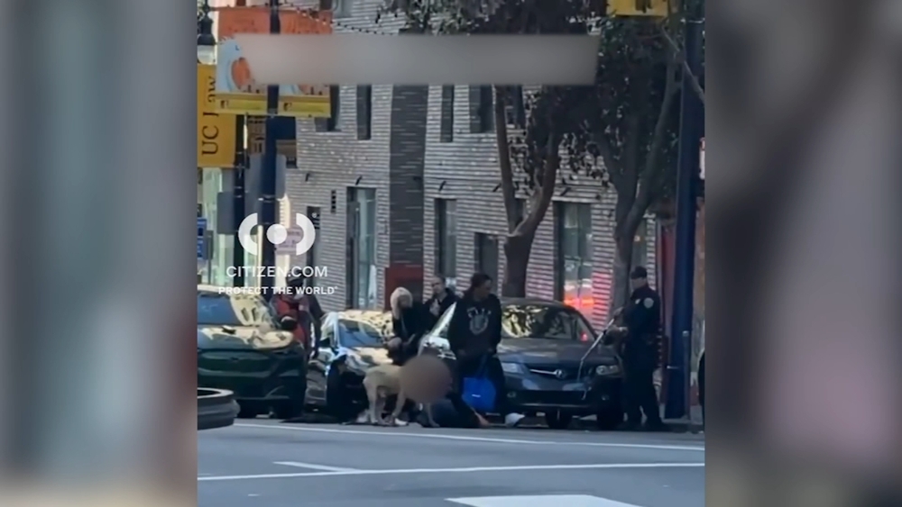 SF looks to strengthen dog safety protocols after pit bull attack