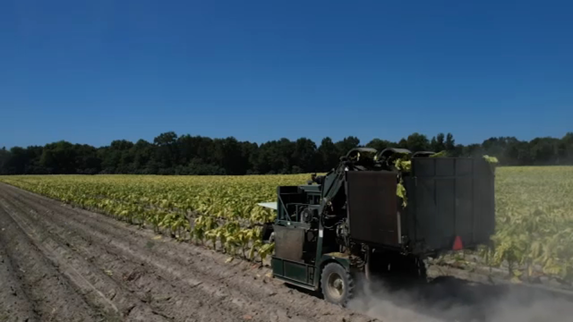Rising diesel prices deepen financial strain for NC farmers