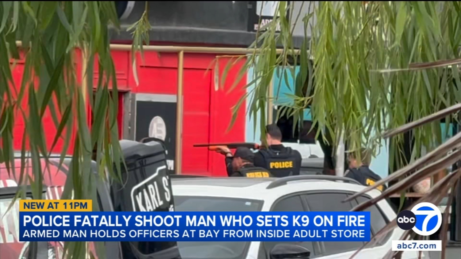 Police shoot, kill man who lit K-9's neck on fire before setting himself ablaze inside adult store
      
