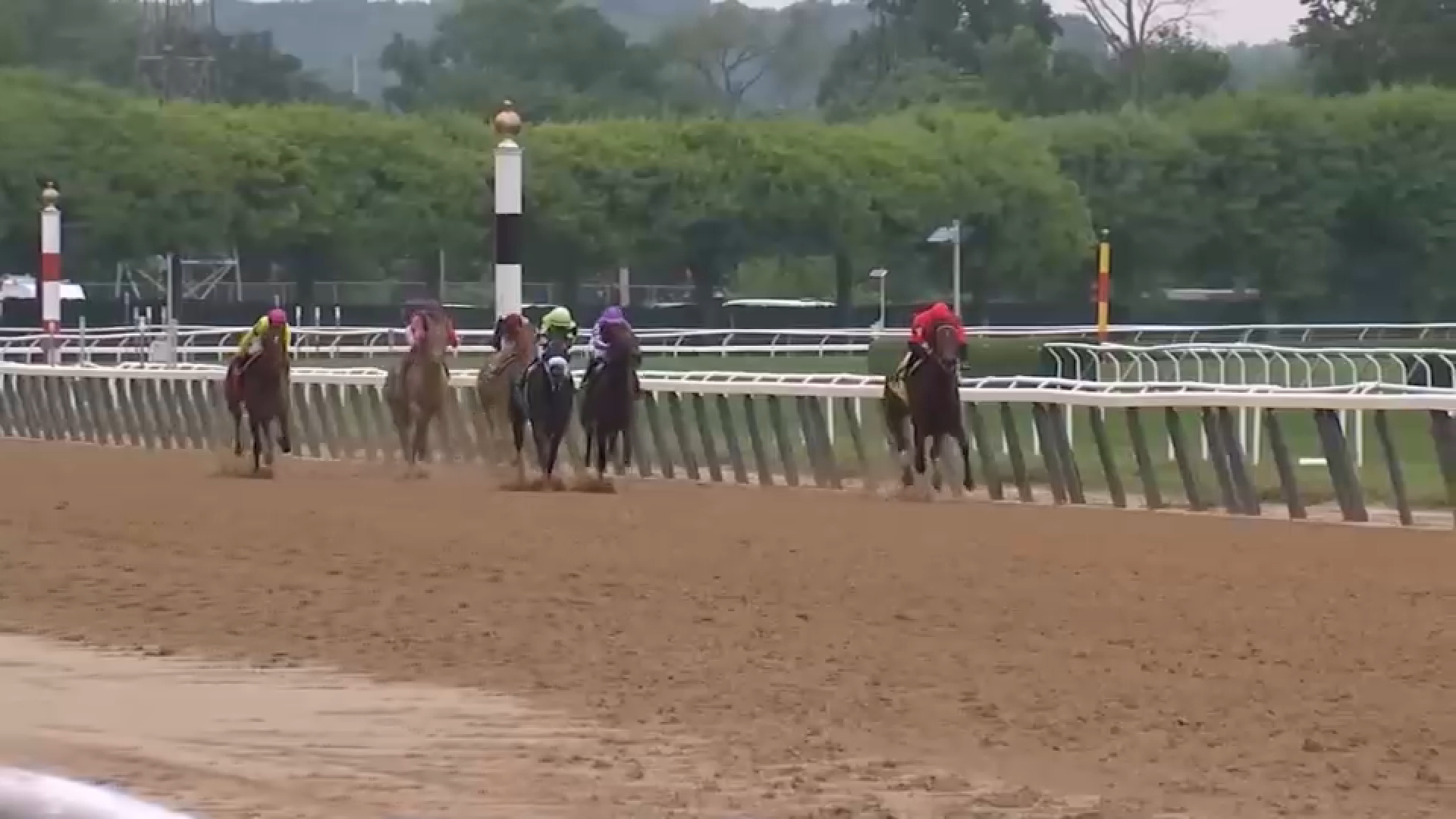 Belmont Park Racetrack reopens after three-year transformation with new grandstand, racetracks