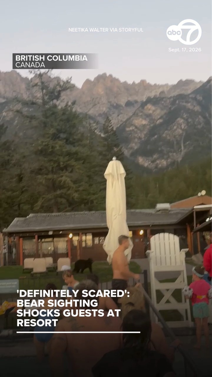 Bear sighting shocks guests at resort