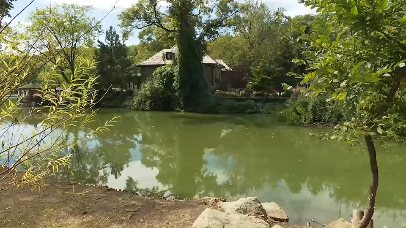 Staten Island Park Lake Sewage Spill Investigated