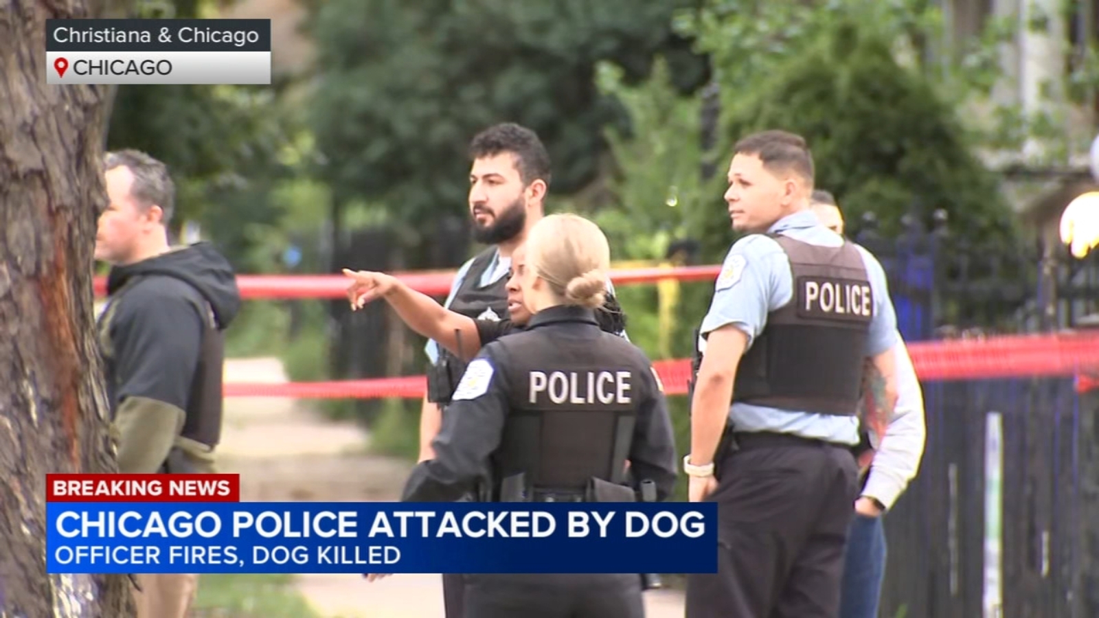 Officer fatally shoots dog who attacked him in East Garfield Park; 2 more cops also injured: CPD
      