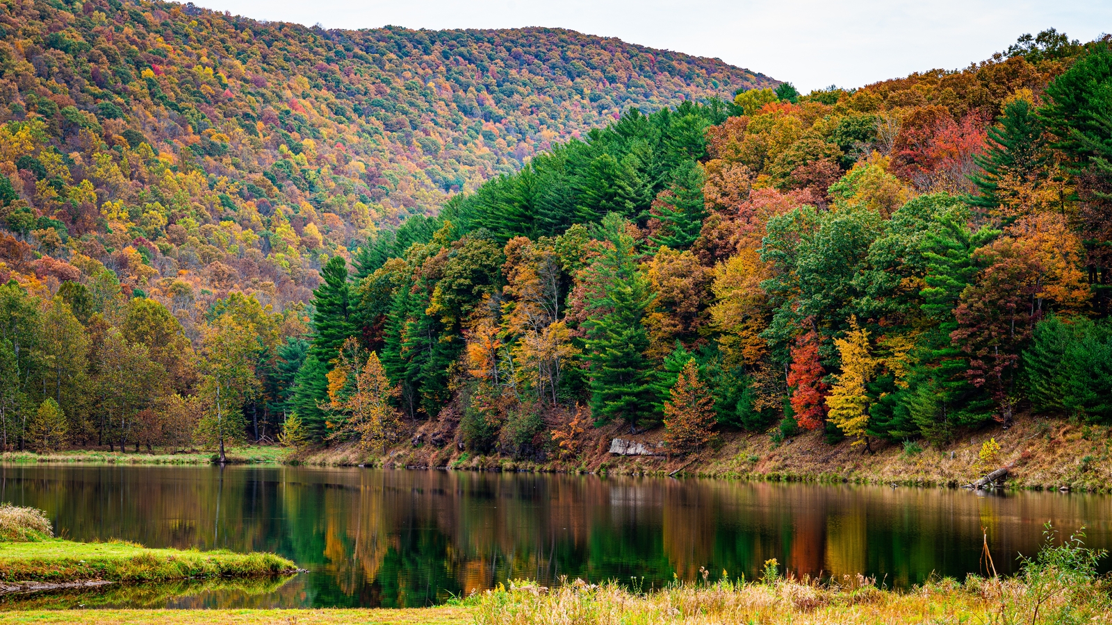 Fall Foliage 2026: Where to see the best autumn colors in Pennsylvania, New Jersey and Delaware