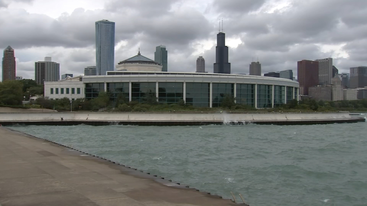 Questions emerge after 4th beluga death at Chicago's Shedd Aquarium following whale transfers from Canada