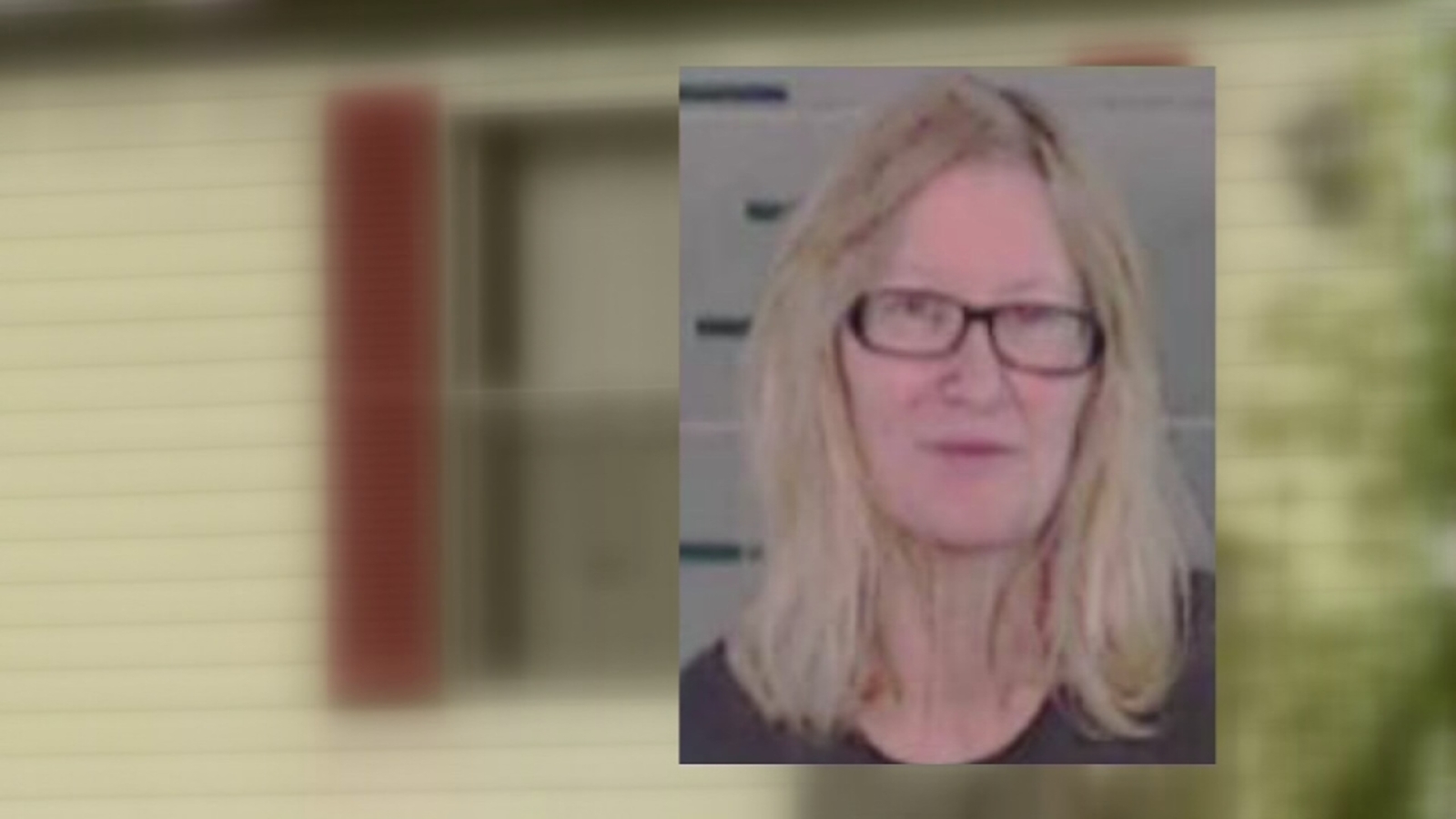 Great grandmother charged in toddler's hot car death - ABC7 Chicago