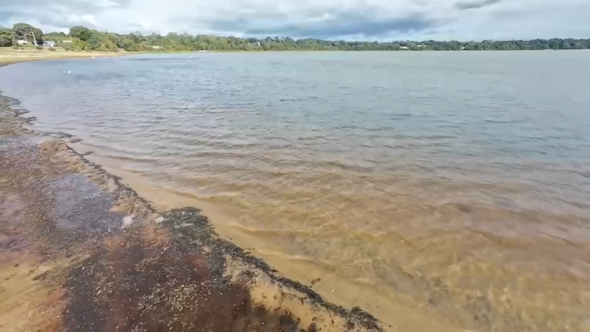 Harmful algae blooms raise concerns at scenic Suffolk County lakes