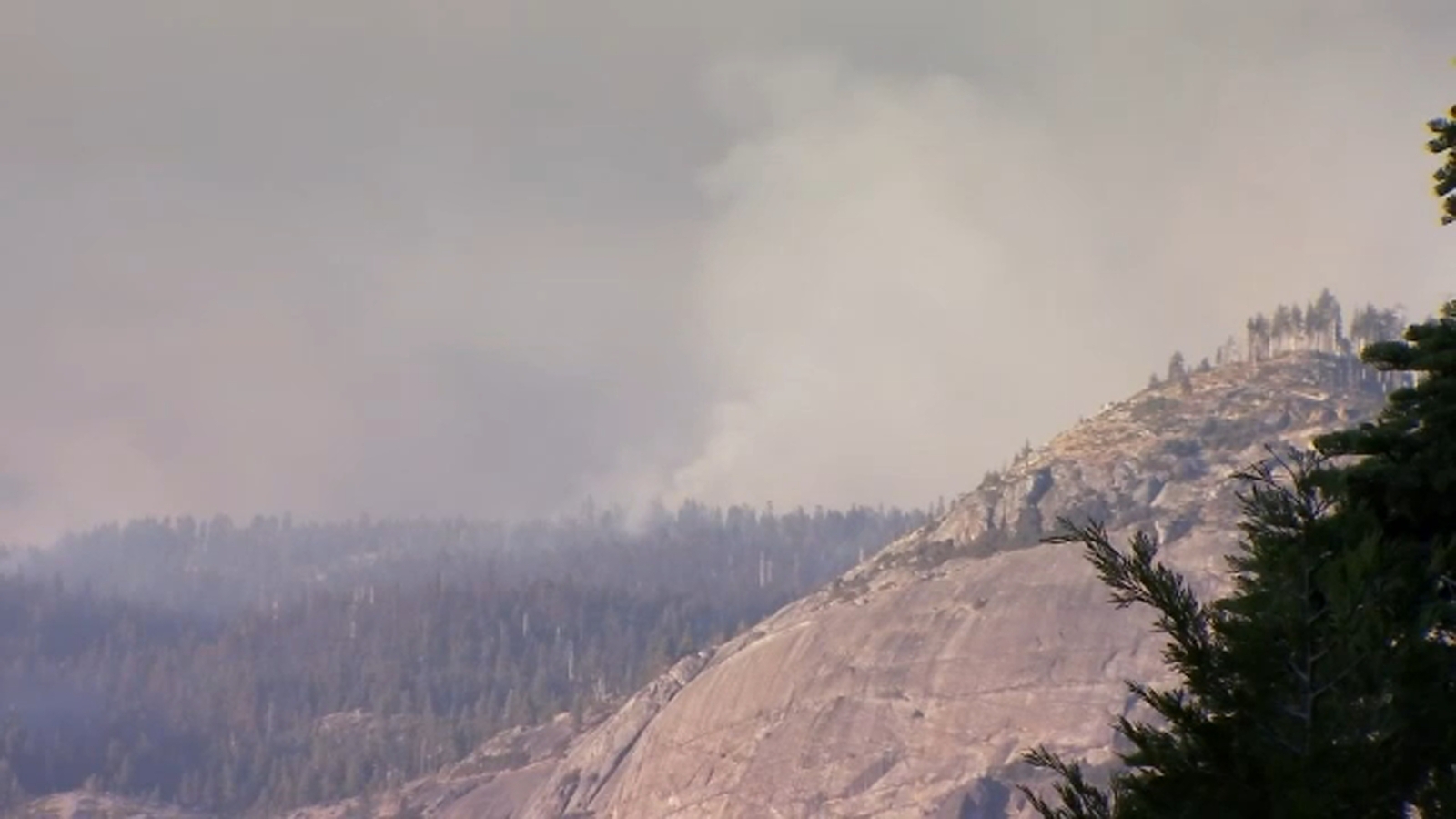 Yosemite National Park asking for public's help on origin of the Dome Fire
      