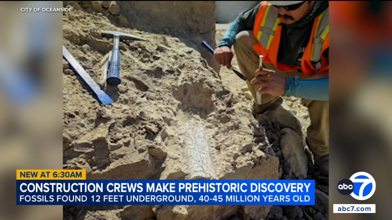 Possible remains of prehistoric 'thunder beast' discovered at Oceanside, California construction site