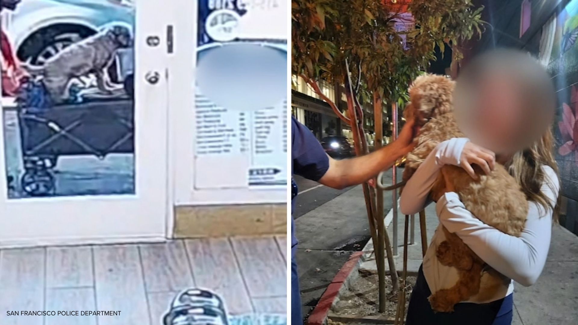 SF police reunite stolen dog with owner after video shows suspects