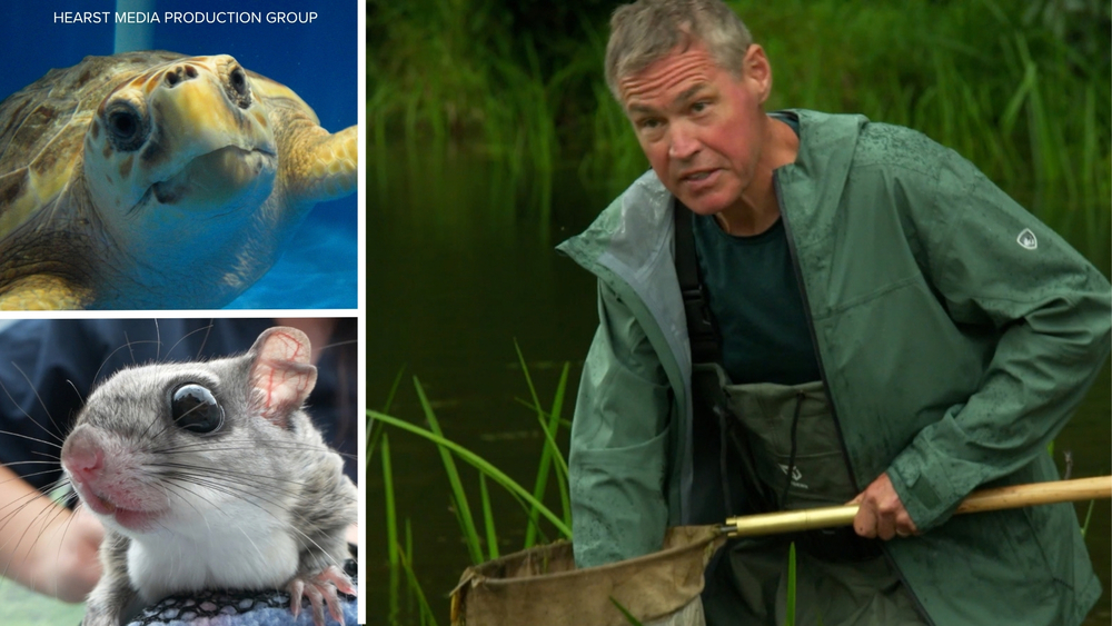 Jeff Corwin explores rare North Carolina wildlife in new ABC series