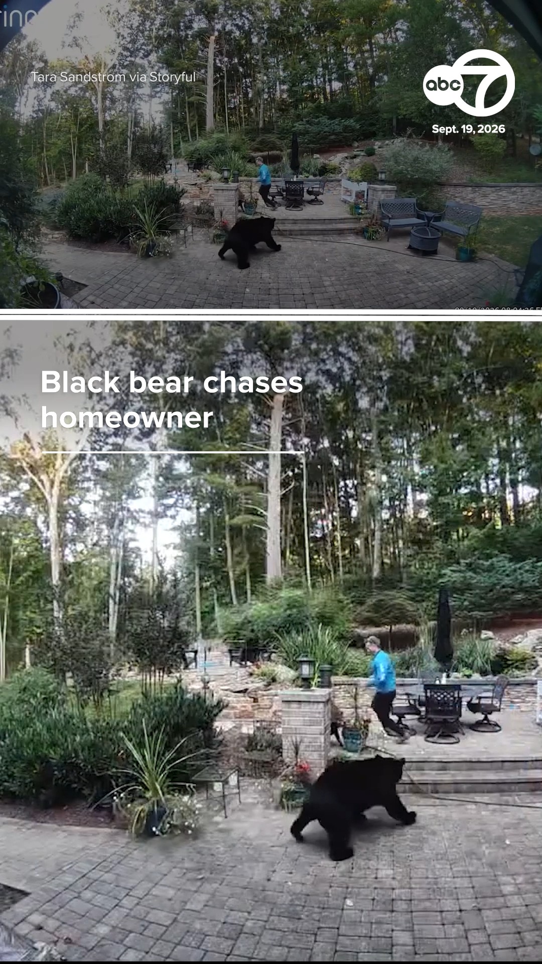 Black bear chases homeowner