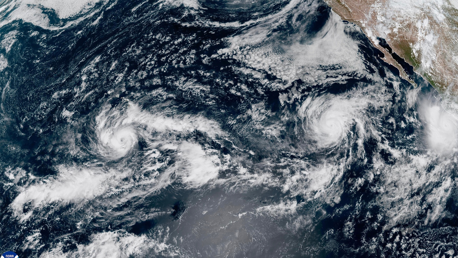 Hurricane Nolo threatening Hawaii with heavy rain as Polo churns near Mexico Hurricane Nolo threatening Hawaii with heavy rain as Polo churns near Mexico