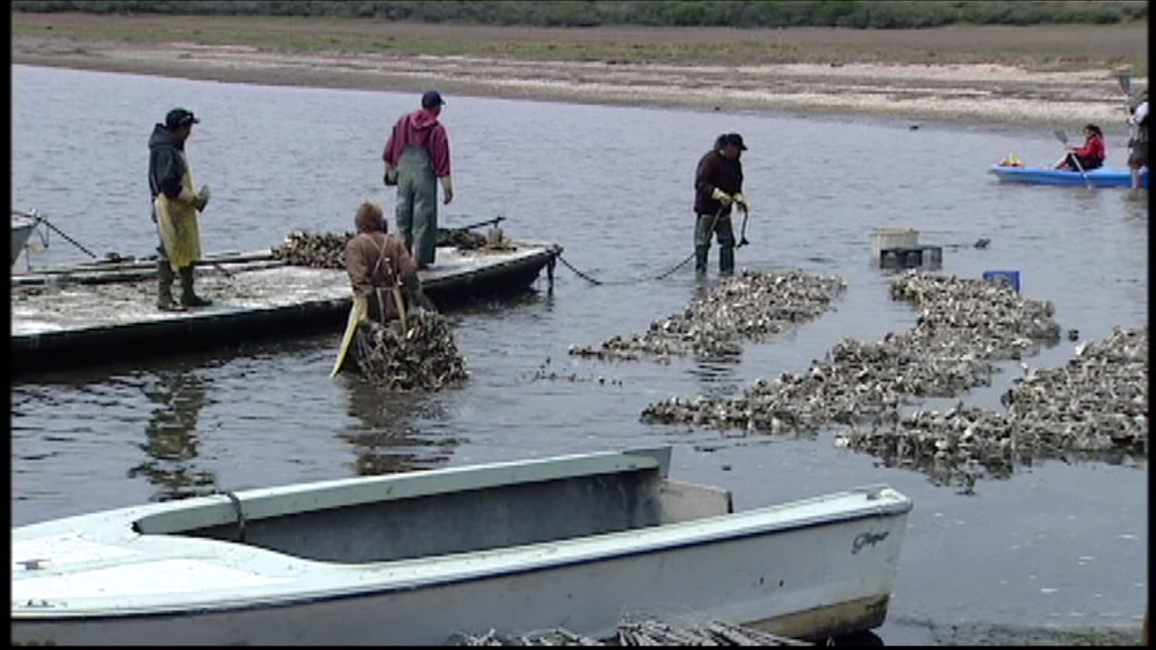 I-Team Hazardous work conditions reported at national park project