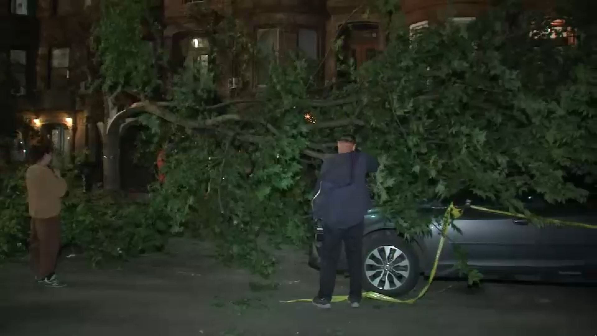 Tree falls on car in Brooklyn as city braces for high winds