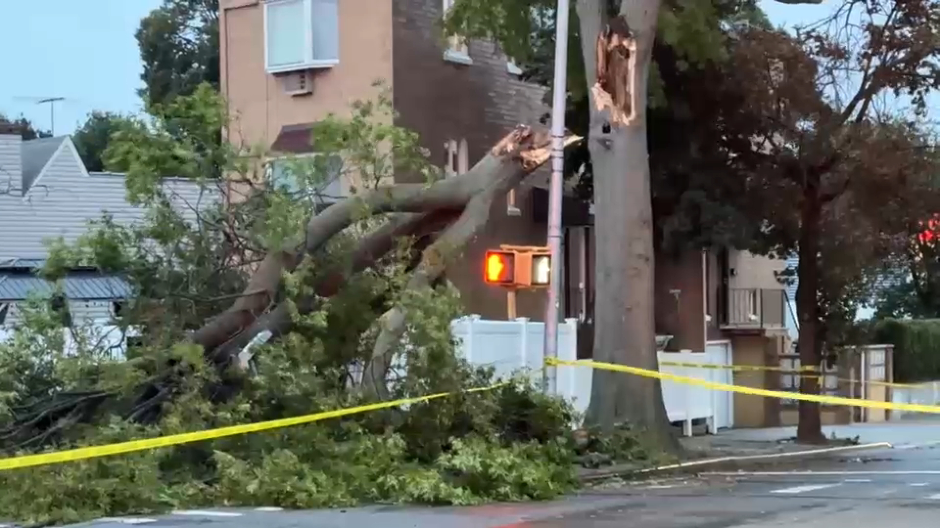 NYCHA worker picking up extra shift killed by falling tree in Brooklyn parking lot