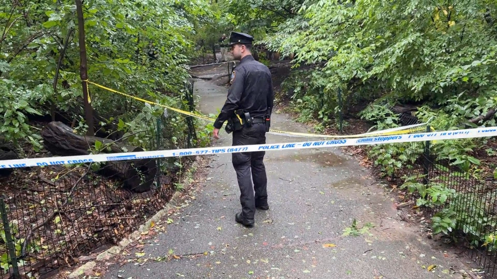 Woman found dead with multiple stab wounds in Central Park