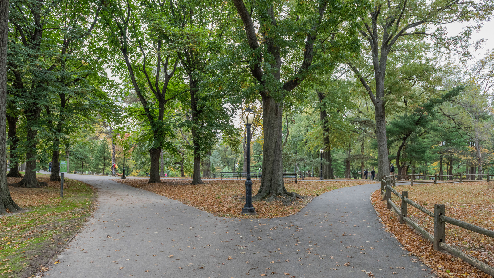 Central Park body found: Suspect Jonathan Robles charged with murder after woman beaten to death with a stick in New York City