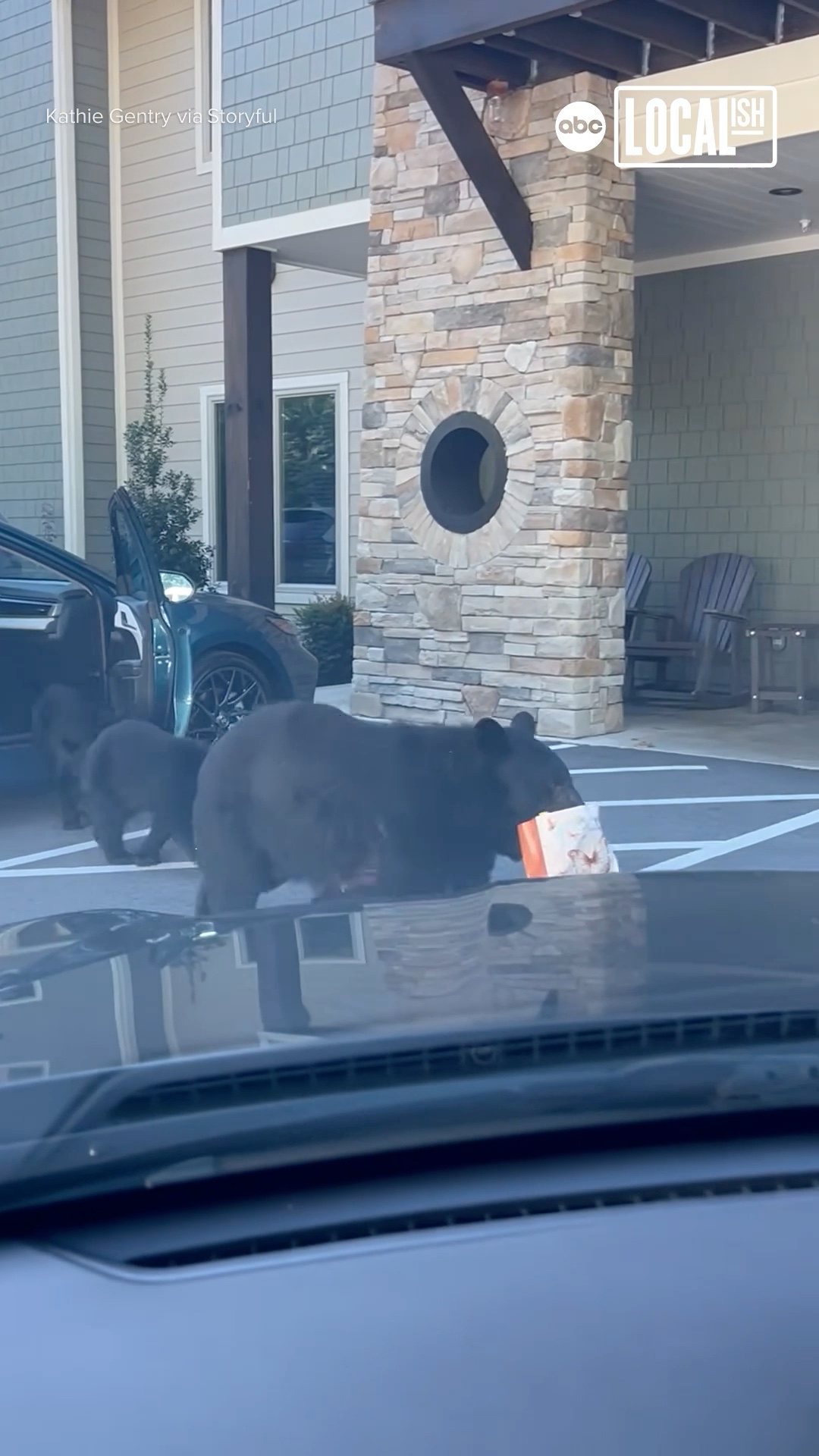An entire family of bears found their way into a parked car!