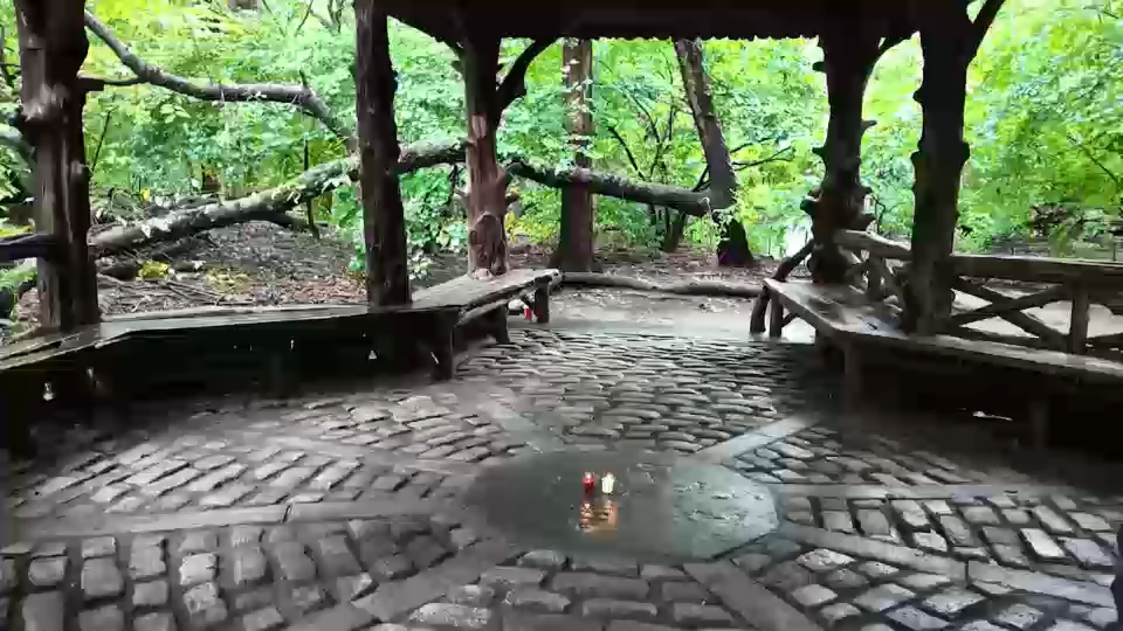 Central Park killing: Birding friends mourn woman beaten to death with stick