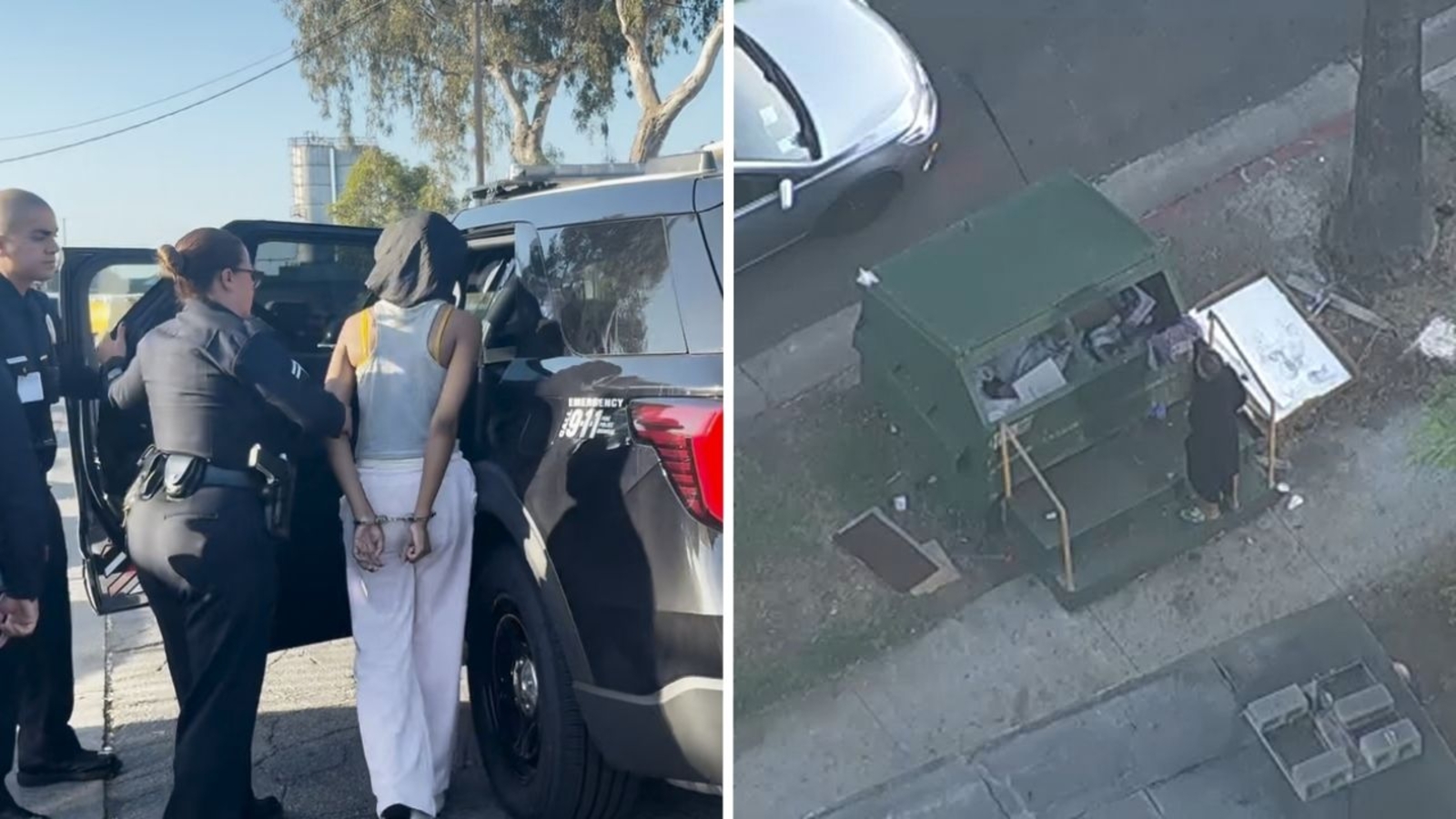 Baby dead after being found in dumpster in South LA; mother taken into custody