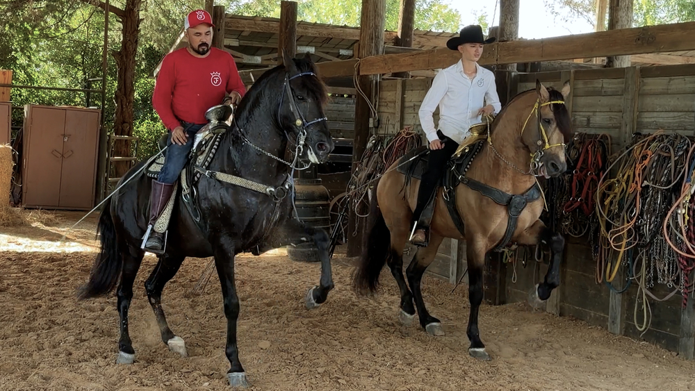 Dancing Horses are popular in parades. Meet the duo who train them.