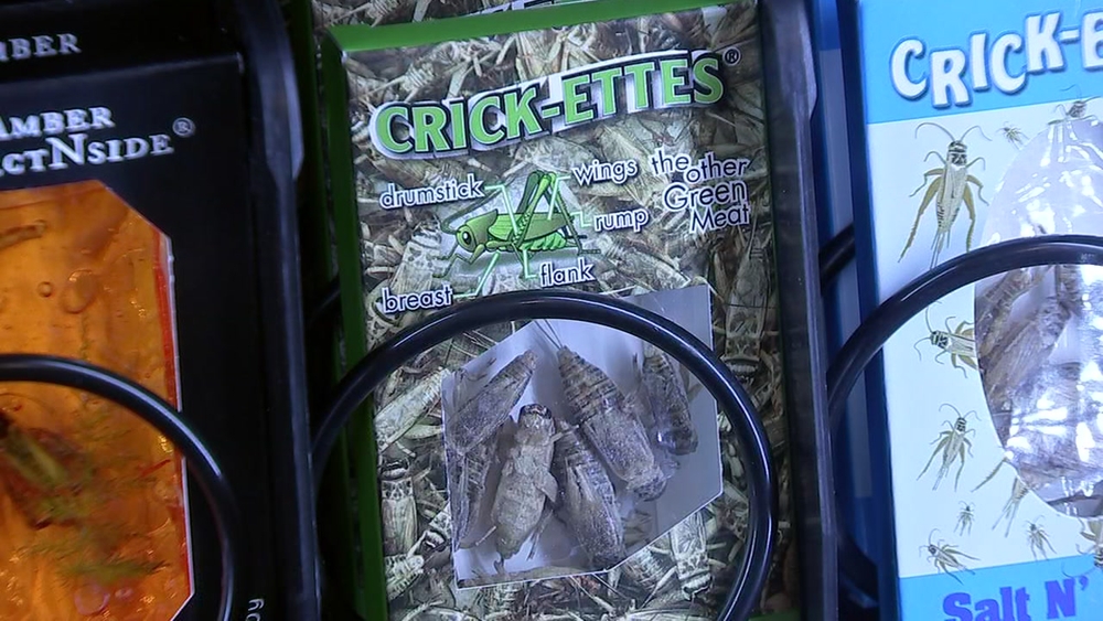 Vending machine at HMNS serves insects as snacks