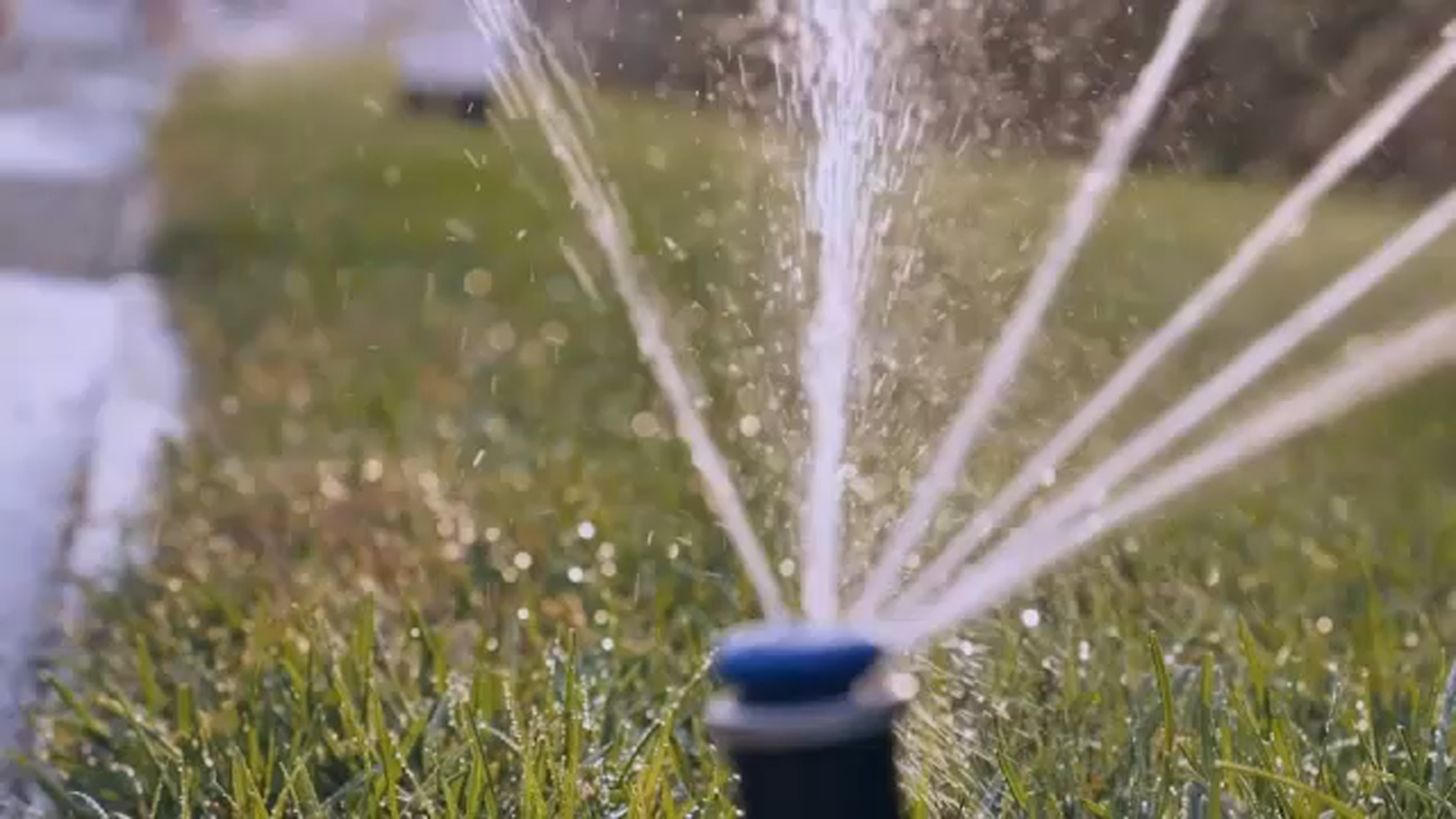 At Program Must Call City of Fresno increases rebate funding in Expanded Lawn to Garden ...
