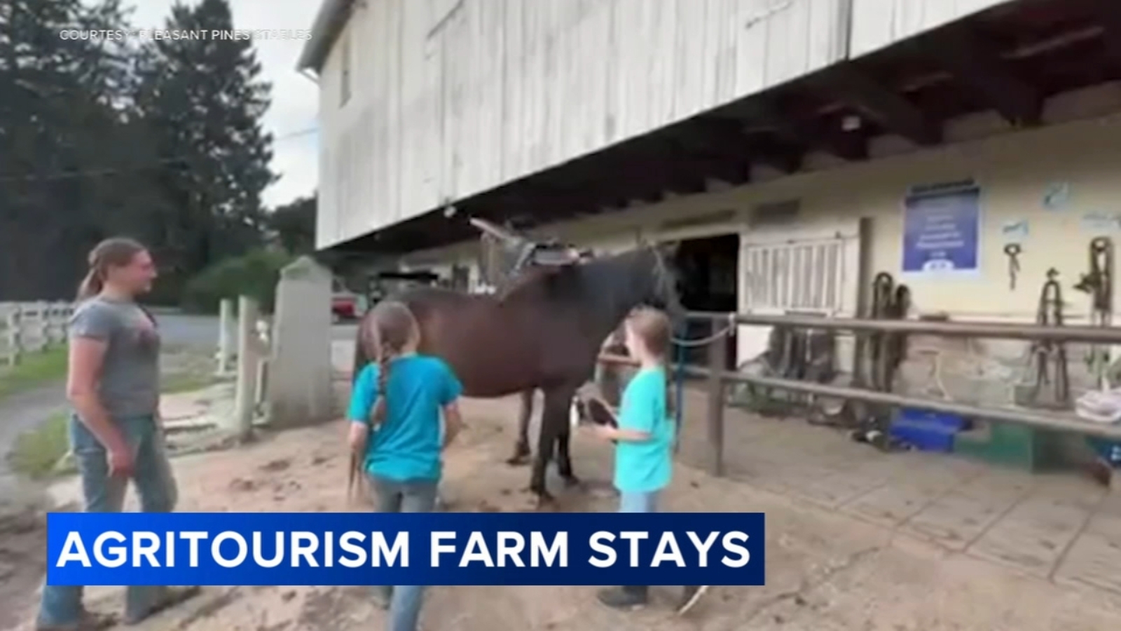 Pennsylvania farms turn to agritourism and Airbnb grants