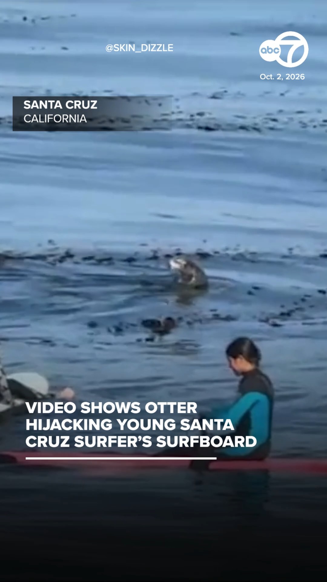 Otter hijacks surfboard in standoff with young Santa Cruz surfers