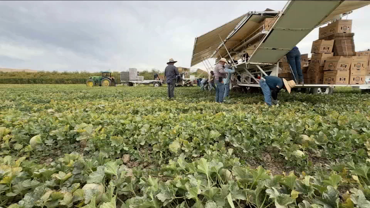 New California law raises farmworker minimum wage to $19.75 an hour