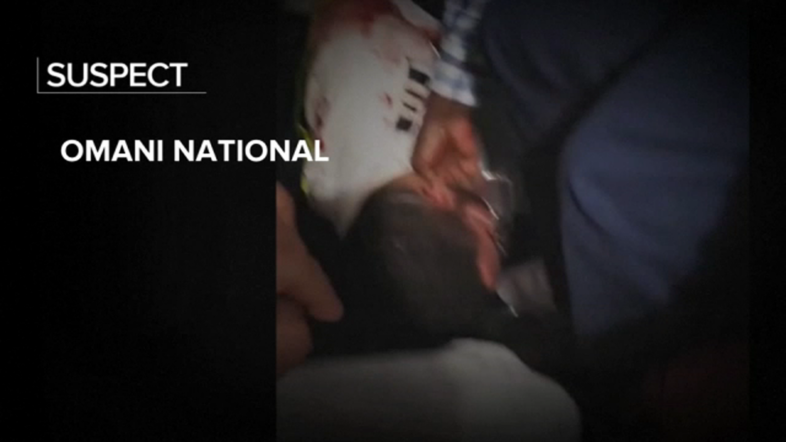 FlyDubai incident suspect: Israel-bound flight co-pilot Hamam al-Hammami, Omani national, had been flagged over extremism concerns FlyDubai incident suspect: Israel-bound flight co-pilot Hamam al-Hammami, Omani national, had been flagged over extremism concerns