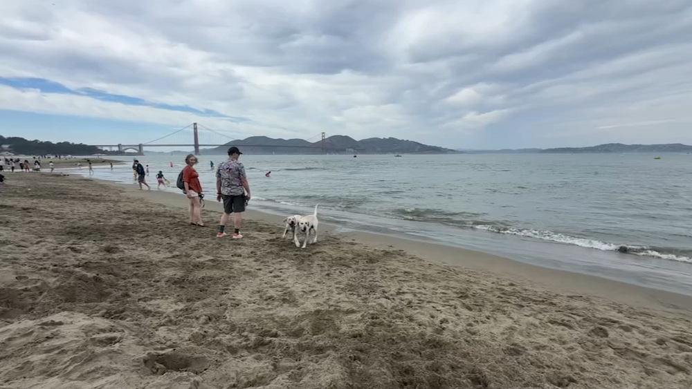 'This is our summer': Bay Area heat draws crowds to beaches