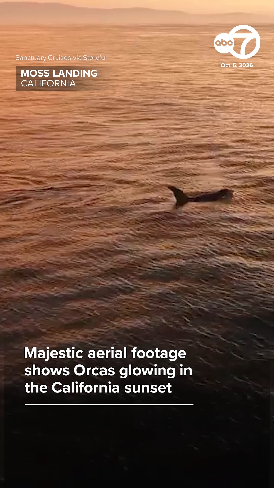 Majestic aerial footage shows Orcas glowing in the CA sunset