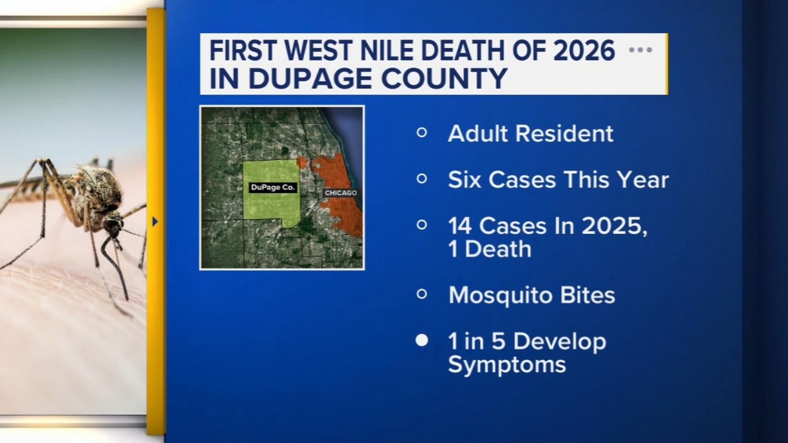Person dies from West Nile virus in DuPage County: health officials
      
