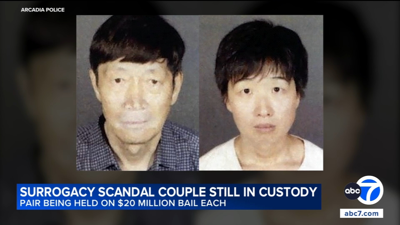 Suspect at center of Arcadia surrogacy scandal has access to $100 million, prosecutors allege