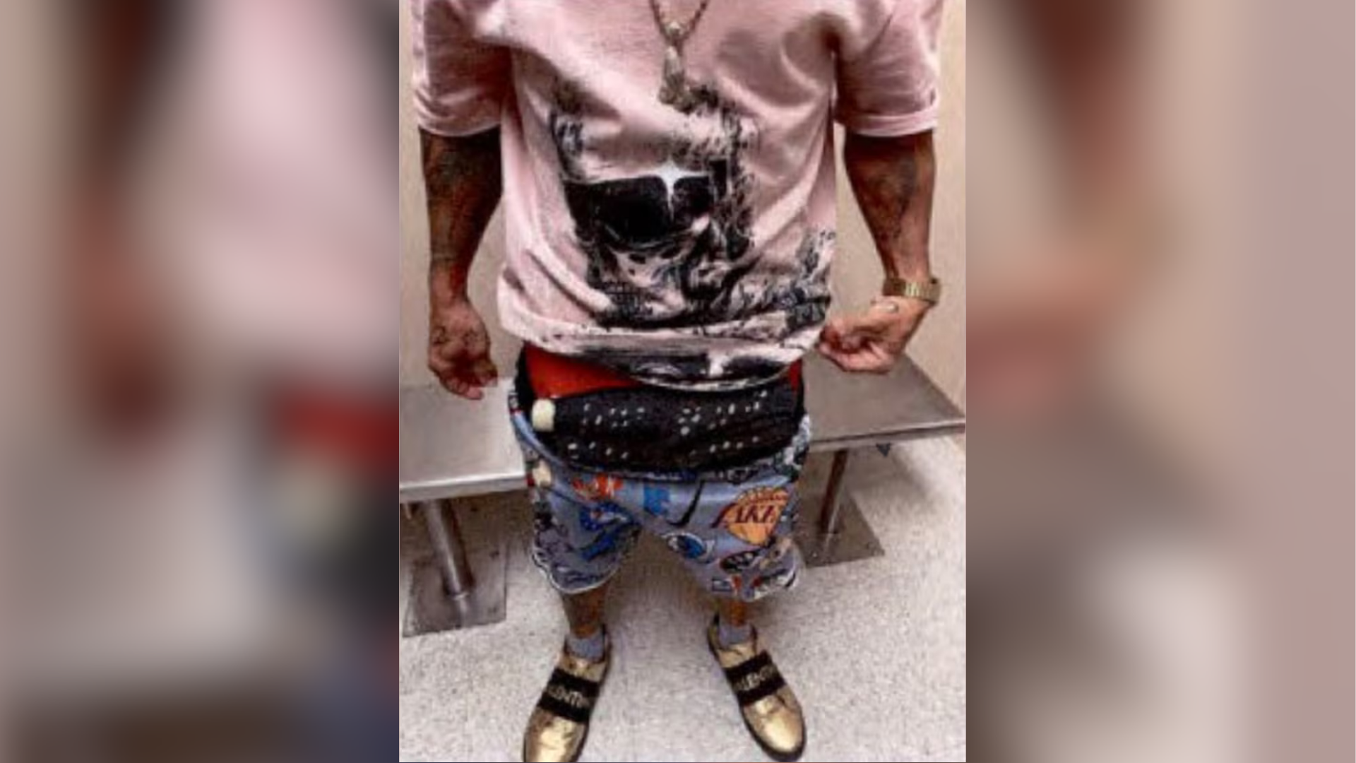 Hernandez Castillo was allegedly found to be transporting ten live birds.