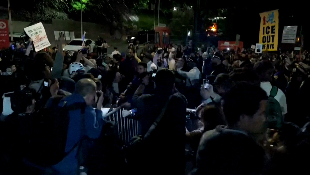 Man shot and wounded by ICE officer in New York City