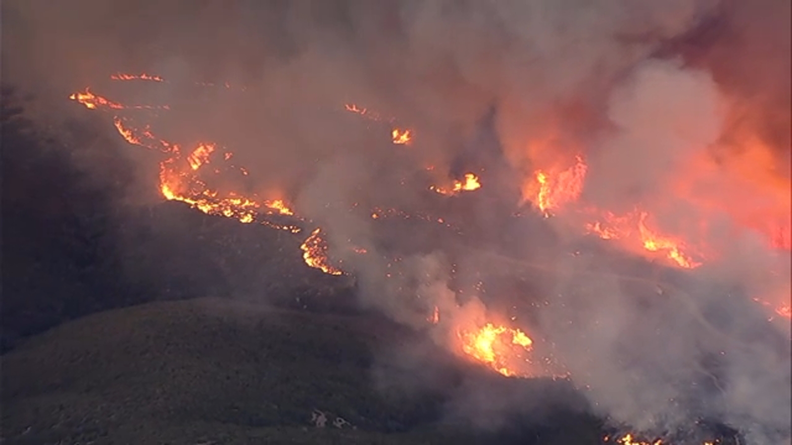 Bouquet Fire: Santa Clarita man charged after allegedly tossing cigarette onto fireworks, igniting wildfire Bouquet Fire: Santa Clarita man charged after allegedly tossing cigarette onto fireworks, igniting wildfire