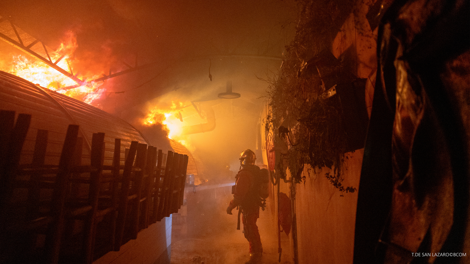 'Violent' fire destroys Enfants Rouges food market in Paris, officials say