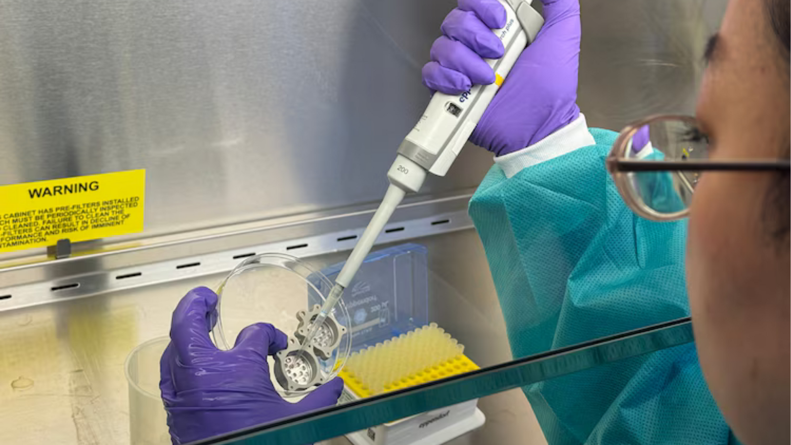 Mini organs launching to space may help future astronauts and humans on Earth stay healthy